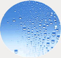 ���Ȼ��Τ��Ҳ�