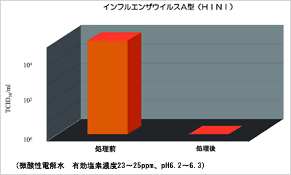 >����ե륨�󥶥����륹A��