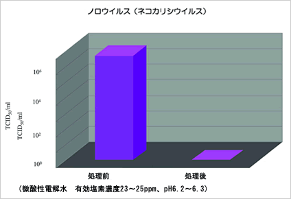 �Υ������륹