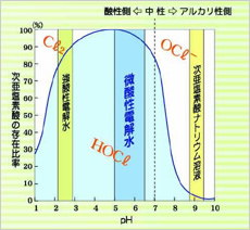 ����ե륨�󥶥����륹A��